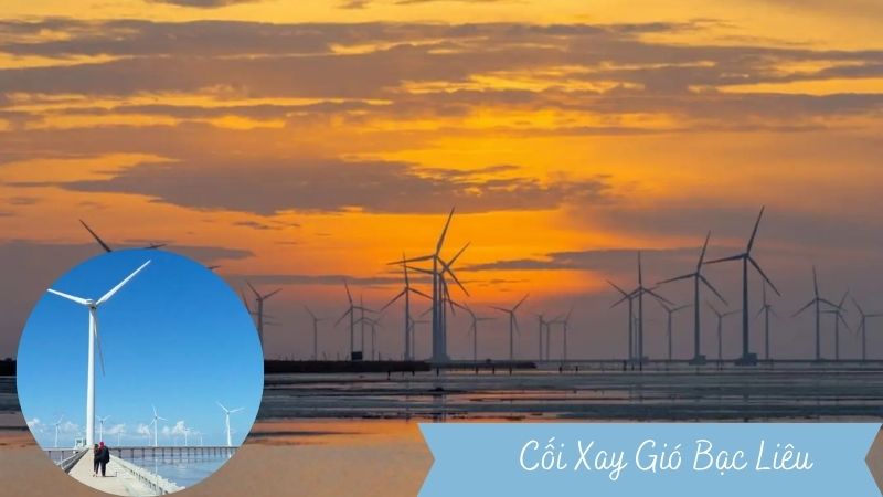 Cánh Đồng Cối Xay Gió Bạc Liêu – Vẻ Đẹp Trời Âu miền Tây