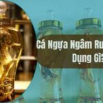 cá ngựa ngâm rượu có tác dụng gì