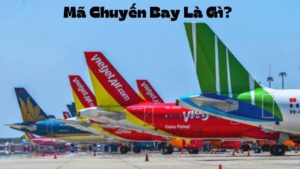 Mã Chuyến Bay Là Gì? Vai Trò Của Mã Chuyến Bay