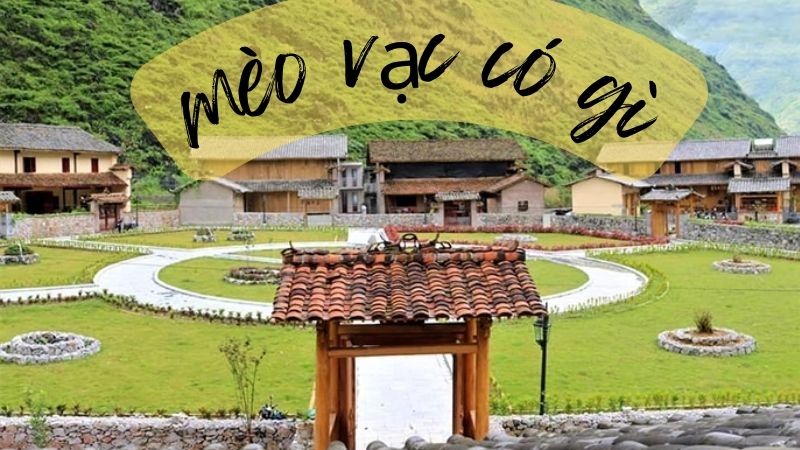 Mèo Vạc Có Gì? Khám Phá Vẻ Đẹp Thiên Nhiên Hoang Sơ