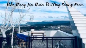 Nấc Thang Lên Thiên Đường Sunny Farm: Điểm Check-in Tuyệt Đẹp